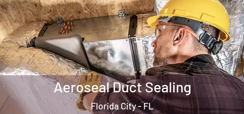  Aeroseal Duct Sealing Florida City - FL