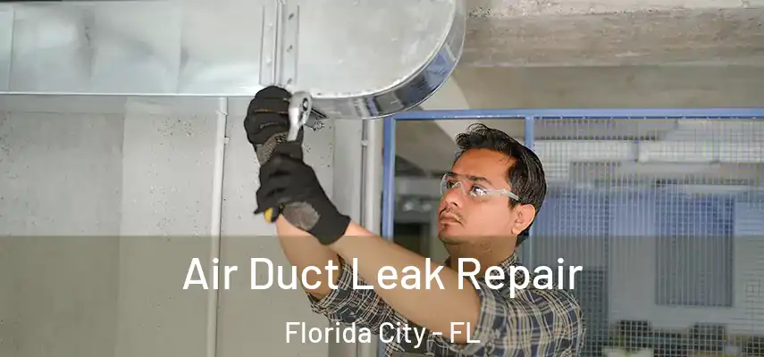  Air Duct Leak Repair Florida City - FL