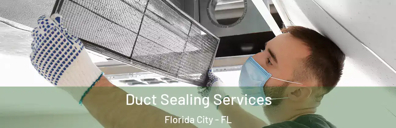  Duct Sealing Services Florida City - FL